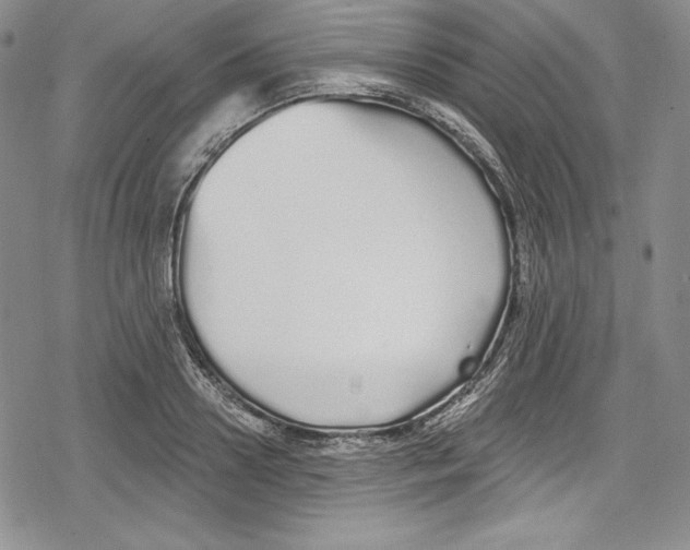 X0000078830938200612111516