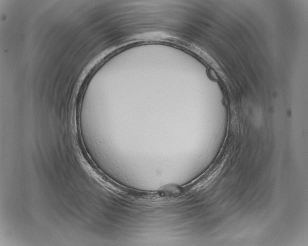 X0000078830939200612111516