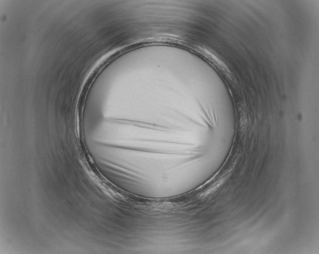 X0000078830940200612111516