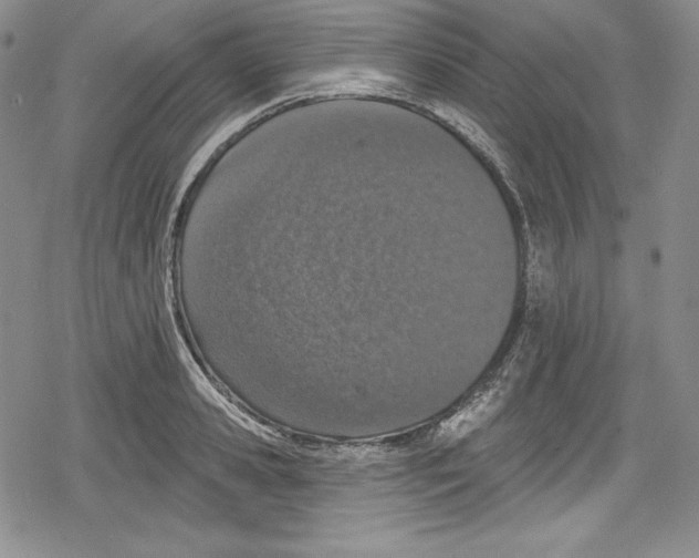 X0000078830941200612111516