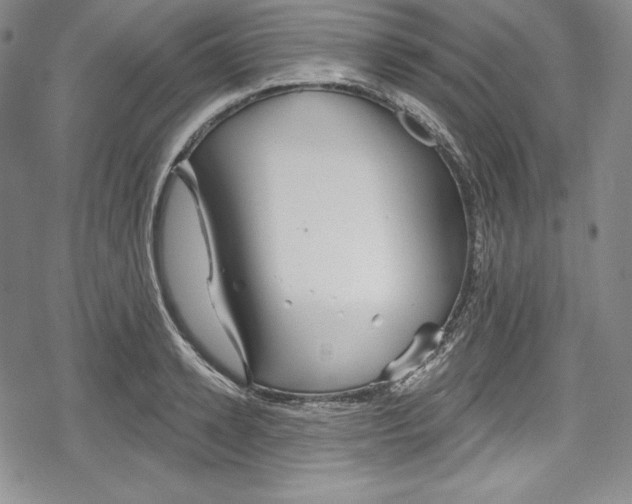 X0000078830942200612111516