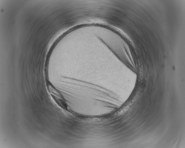 X0000078830943200612111516