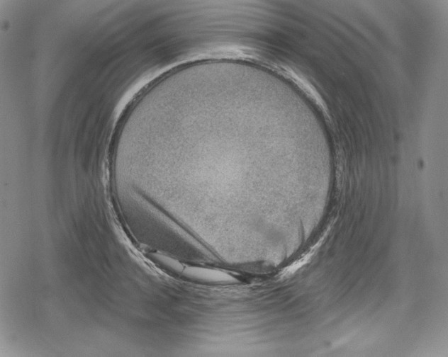 X0000078830944200612111516