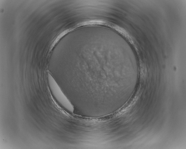 X0000078830945200612111516