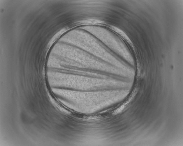 X0000078830946200612111516