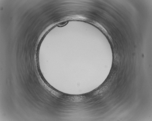 X0000078830947200612111516