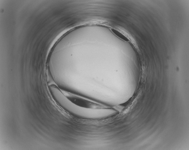 X0000078830948200612111516