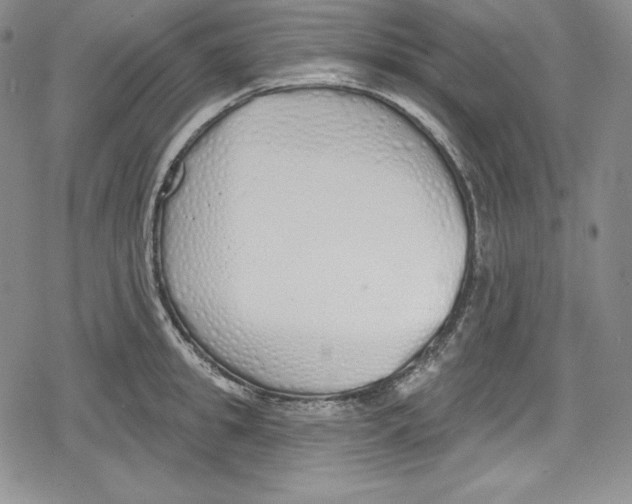 X0000078830949200612111516