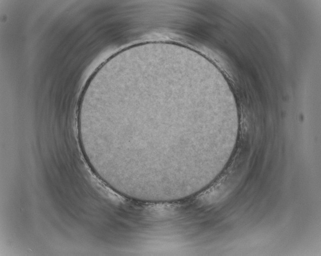 X0000078830950200612111516