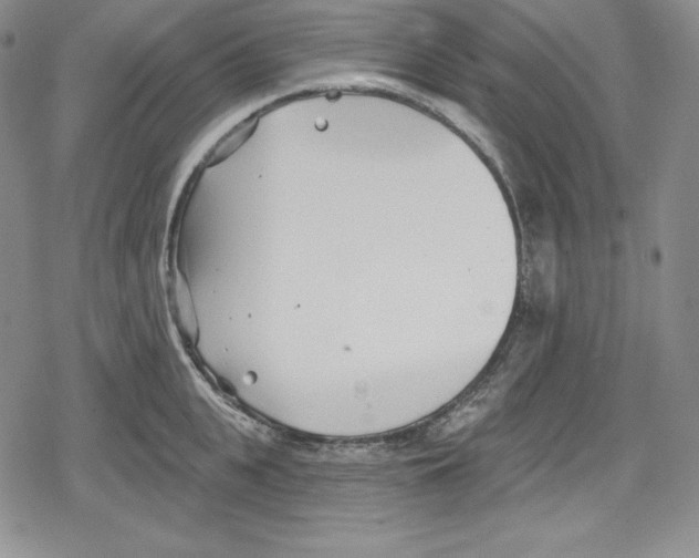 X0000078830951200612111516