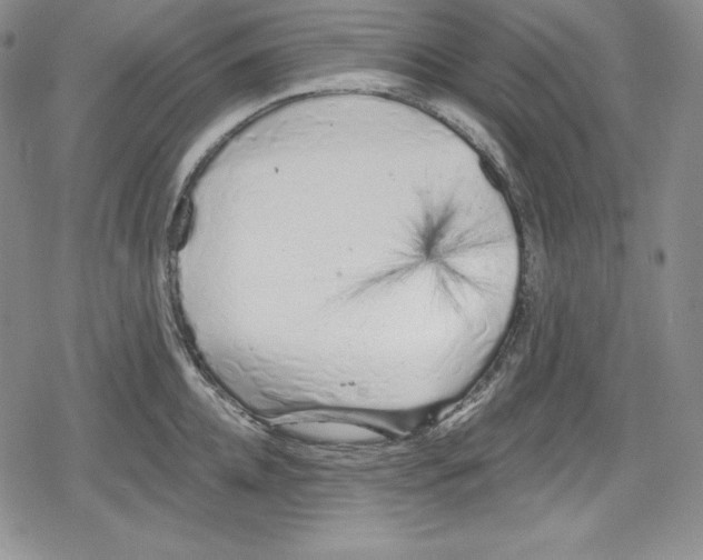 X0000078830952200612111516