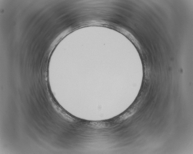 X0000078830954200612111516