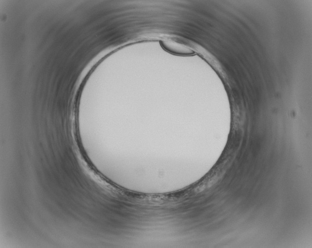 X0000078830955200612111516