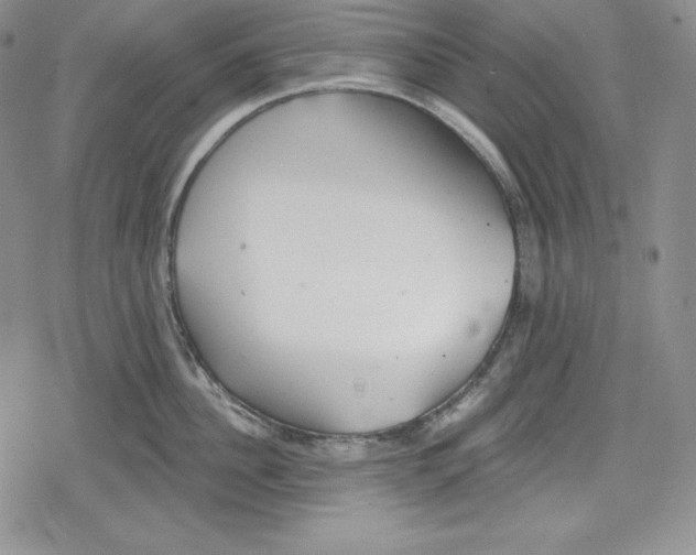 X0000078830956200612111516