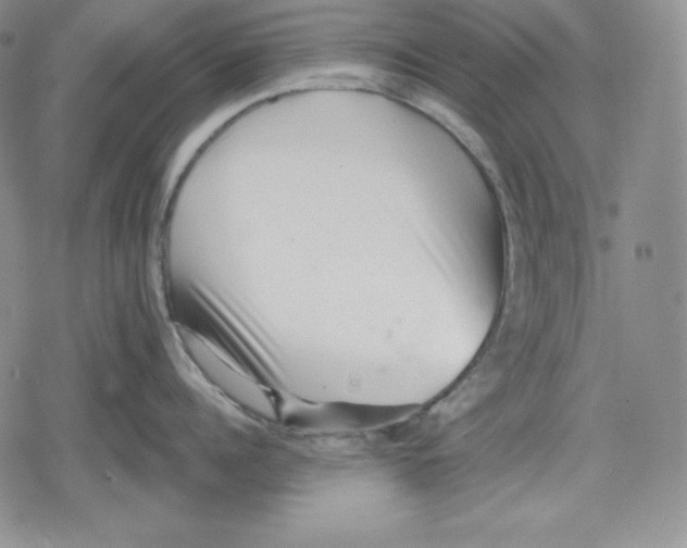 X0000078830960200612111516