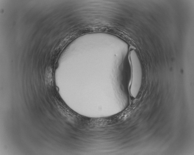 X0000078830963200612111515