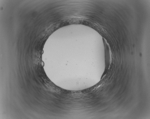 X0000078830964200612111515