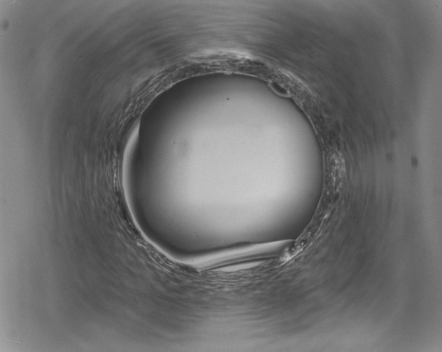 X0000078830965200612111515