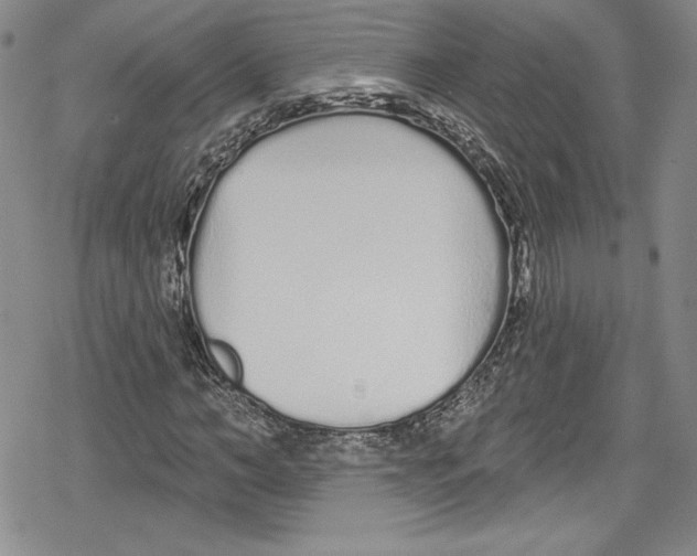 X0000078830966200612111515