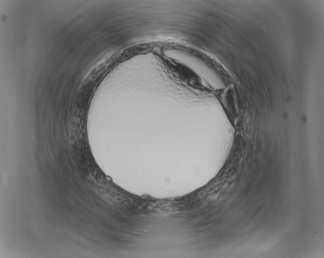 X0000078830967200612111515