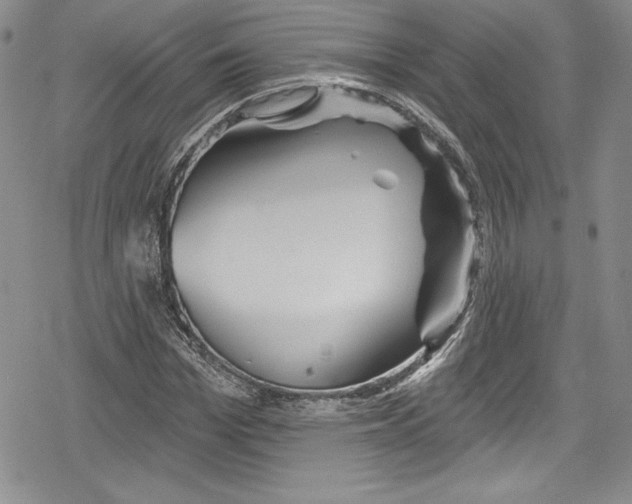 X0000078830969200612111515