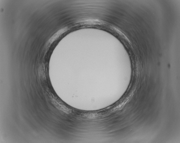 X0000078830970200612111515