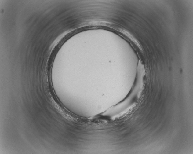 X0000078830972200612111515