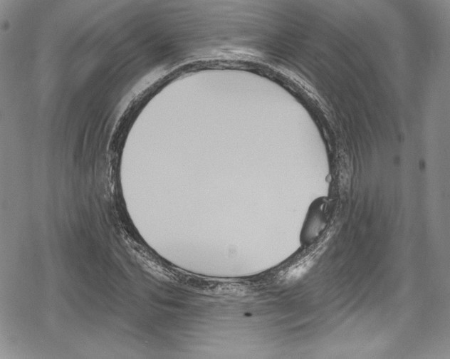 X0000078830974200612111515