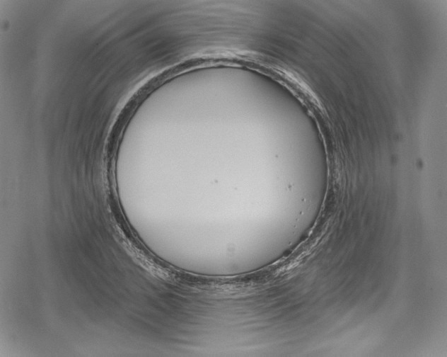 X0000078830976200612111515