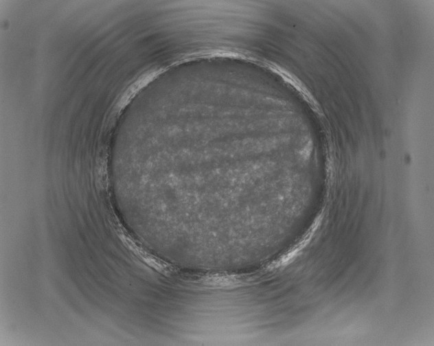 X0000078830977200612111515