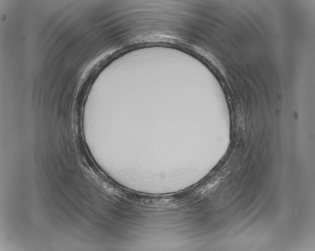 X0000078830979200612111515