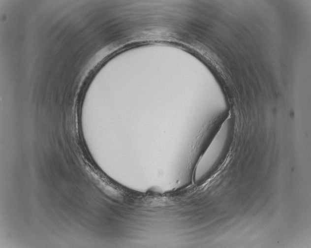 X0000078830982200612111515