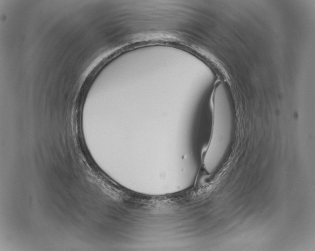 X0000078830983200612111515