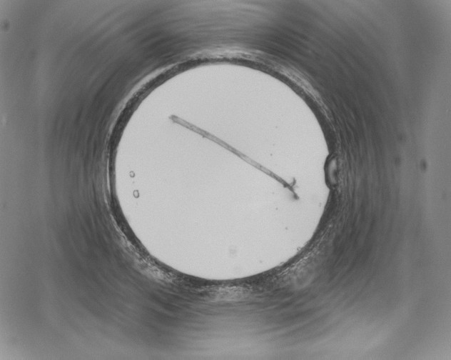 X0000078830984200612111515