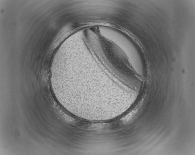 X0000078830985200612111515