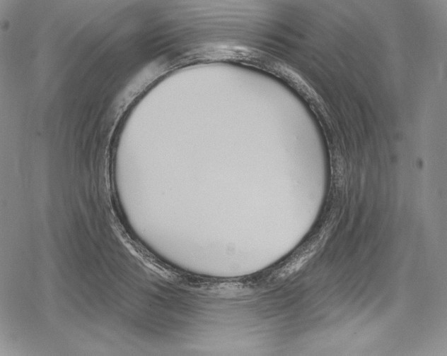 X0000078830986200612111515