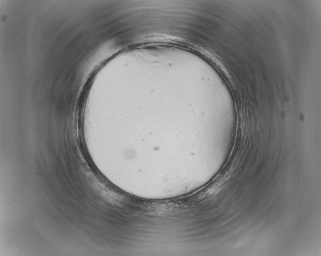 X0000078830987200612111515