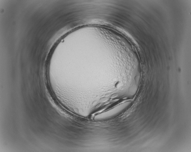 X0000078830991200612111515