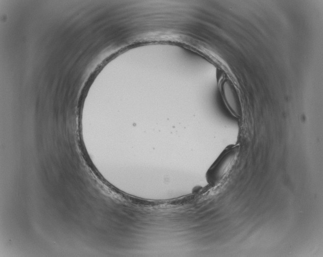 X0000078830992200612111515