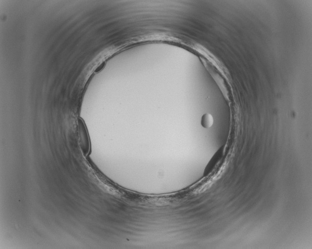 X0000078830993200612111515