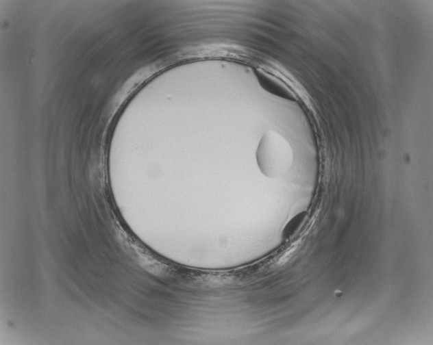 X0000078830994200612111515