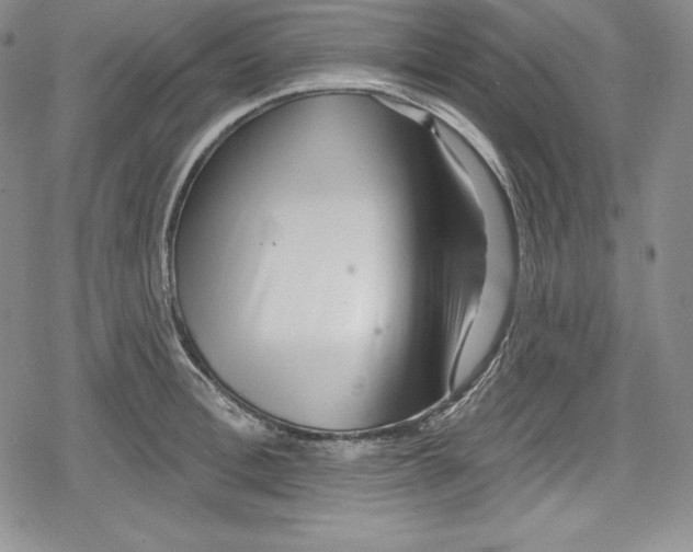 X0000078830996200612111515