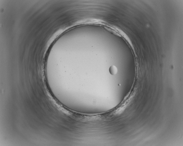 X0000078830997200612111515