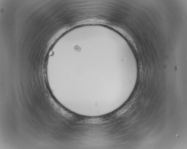 X0000078830998200612111515