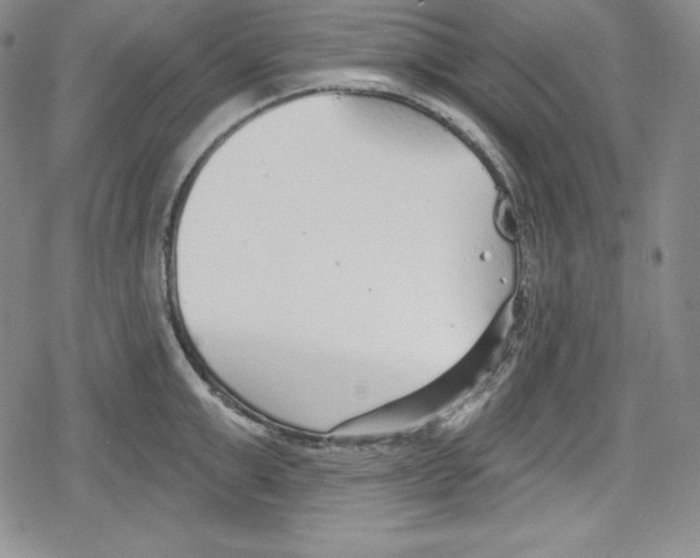 X0000078830999200612111515