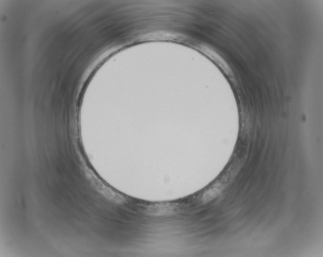 X0000078831000200612111515