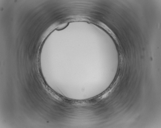 X0000078831002200612111515