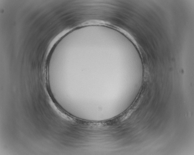 X0000078831003200612111515