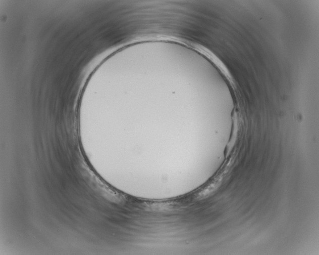 X0000078831004200612111515