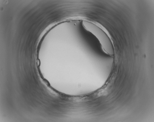 X0000078831005200612111515